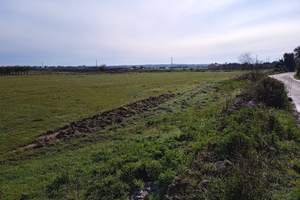 Terreno agricolo di 10060mq ( 1ettaro e 60m)