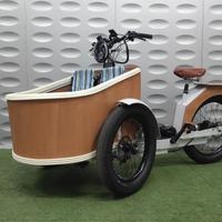 Cargo bike pedaleta assistita batteria 20 ah