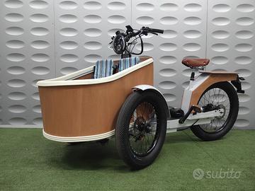 Cargo bike pedaleta assistita batteria 20 ah