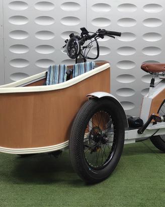 Cargo bike pedaleta assistita batteria 20 ah