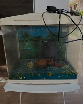 Acquario