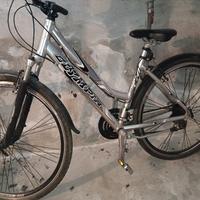 city bike donna Olympia 