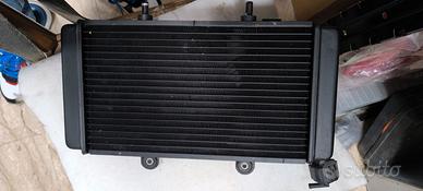 radiatore Aprilia Pegaso 