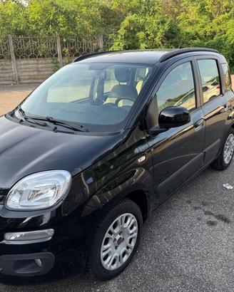 Fiat Panda 1.2 Lounge 5 posti neopatentati
