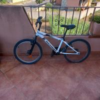 Bici taglia 20 bambino