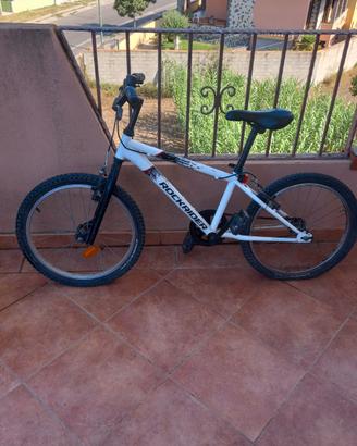 Bici taglia 20 bambino