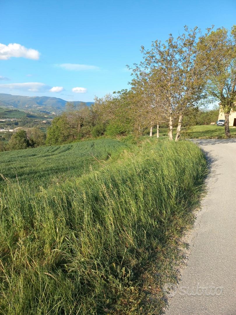 Terreno edificabile - Altro