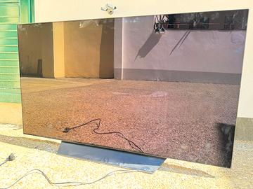 LG 55B8 PLA da 55 rotto