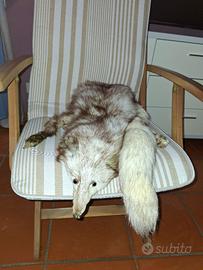 Pelliccia di Volpe Vera Vintage – Eleganza Unica 1