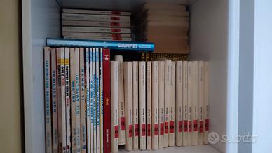 Tex, libri e fumetti western 