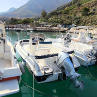 Blumax 19 Honda 40 cv