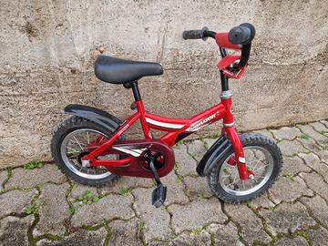 bicicletta giant da bimbo