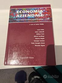 Economia aziendale