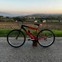 Bici Foligno