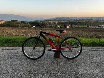 Bici Foligno