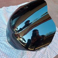 Cupolino FZ6 originale