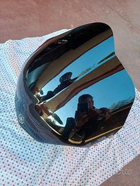 Cupolino FZ6 originale