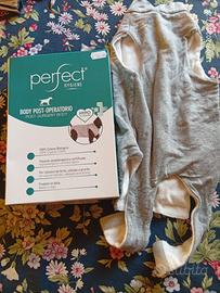 tutina postoperatoria gatto/cane