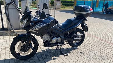 Suzuki v strom