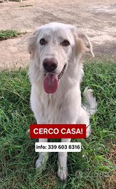 EROS: cucciolo
