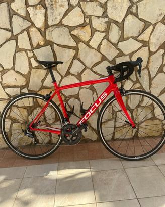 Bici da corsa focus izalco race 2019 carbonio M