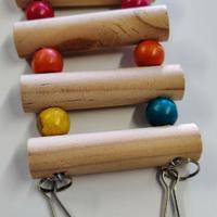 scaletta per criceto