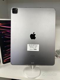 iPad Pro 11" M2 4th Gen WiFi + Cell |Garanzia6mesi