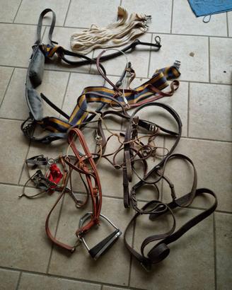 finimenti e accessori in cuoio per equitazione 