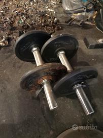 pesi manubri 2/5/10 kg