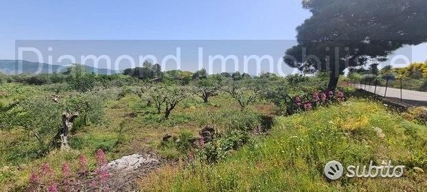 Terreno agricolo 3.200mq zona doc a castiglione - Vista 2
