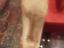 Immagine 4