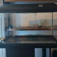 Acquario 80lt