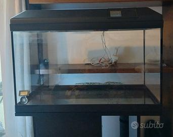 Acquario 80lt
