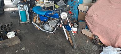 Benelli 2C 125