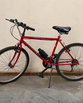Bici MTB Diamond Light Ray – Rossa – Adulto