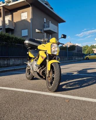 Kawasaki ER-6N 2006