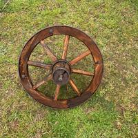 Ruota cariola in legno info 3382770204