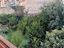 Immagine 11