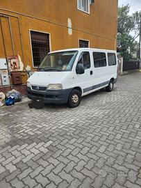Fiat ducato panorama