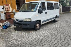 Fiat ducato panorama