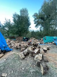 legna da ardere