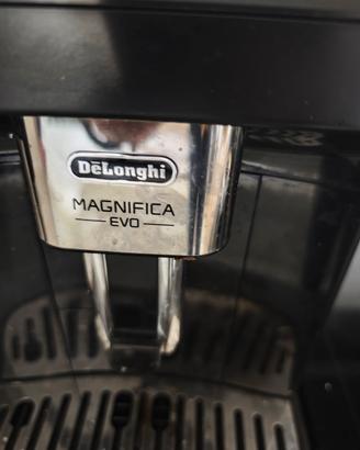 magnifica evo