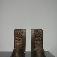 Reggilibri Vintage in Tassidermia 