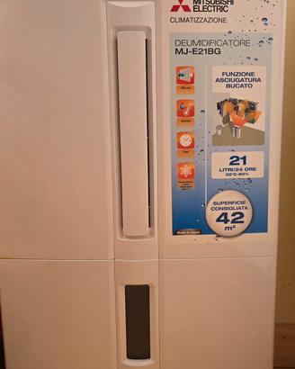 deumidificatore Mitsubishi