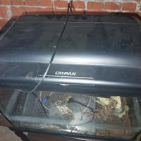 acquario Cayman 80 litri 
