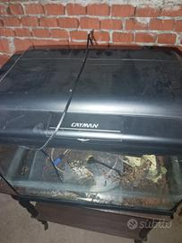 acquario Cayman 80 litri 