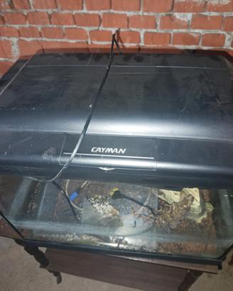 acquario Cayman 80 litri 