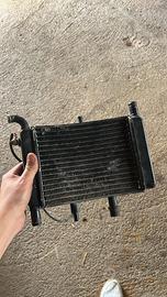 Radiatore