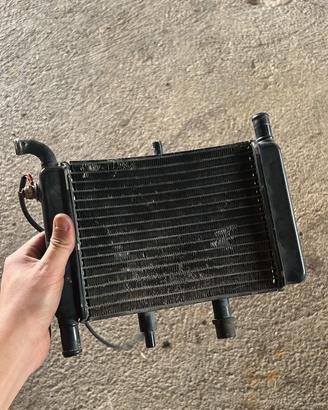 Radiatore