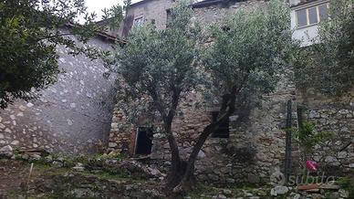 Casaletto con giardino terrazzato